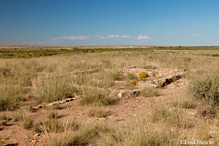 Petrified Forest National Park Puerco Pueblo